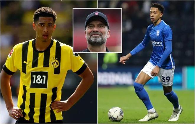 踢球者：凯恩当选踢球者年度人物，他已被视为德甲的重要代表（《踢球者》评选：凯恩荣膺年度人物，被誉为德甲重要代表）